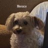 Profilbild von Molly | LH44
