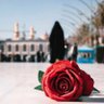 آمال profil fotoğrafı