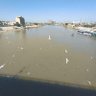 M. الجميلي 的头像