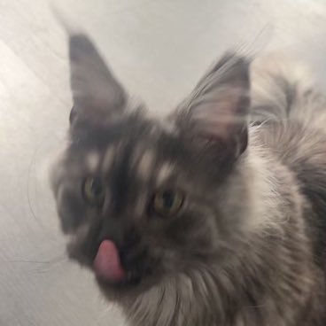 isseyboy's profile picture