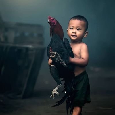 ₣ɆɆⱫ₮Ɇ₵🖇️'s profile picture