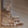 Фото профиля Sandra
