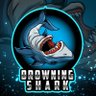 DrowningShark 的头像