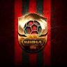 رائدي's profile picture