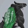 🇸🇦الامير الناااااا🤍ااااايف profil fotoğrafı