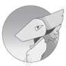 only mediocre's profile picture