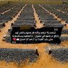 ام سعود's profile picture