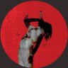 Kumar Waiba's profile picture