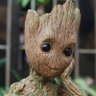 Rashid Estillore's profile picture