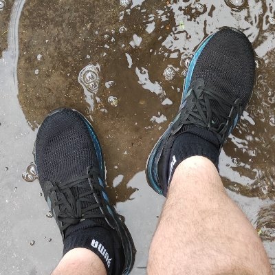 pellscyclist's profile picture