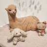 さみやネジ 的头像