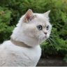 Фото профиля Yahya Khamis