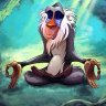 Profilbild von Rafiki Is Based