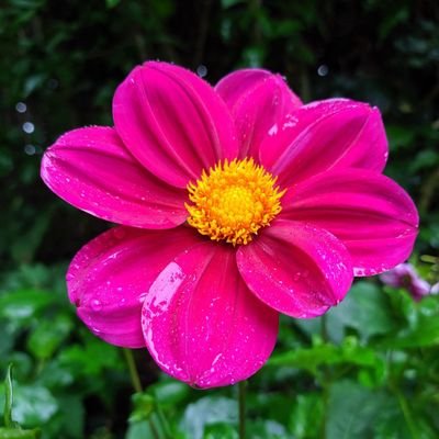 blackma416's profile picture