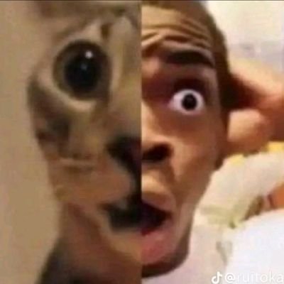 instagram livestream uploads's profile picture