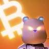 Cryptobearbear's profile picture