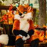 Autumn 🦊 profil fotoğrafı