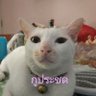 แค่แมวตัวหนึ่ง..... profil fotoğrafı