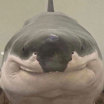 Bruno's profile picture