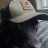 Buddy Pyrador profil fotoğrafı