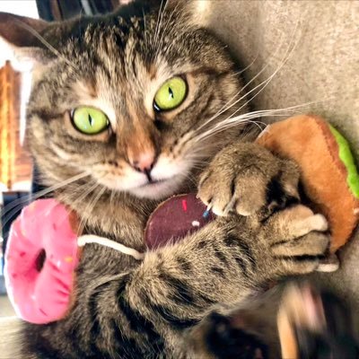 Ricky Gervais's profile picture