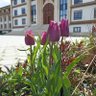 Фото профиля Abdullah CANGÖR