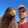 Eitan Porat's profile picture