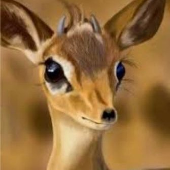 mariamOne_1's profile picture