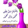 Ali makhzoum's profile picture