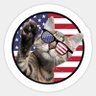 1776FREEDOM24 profil fotoğrafı