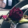 Profilbild von وردهـ نديّـہ 🌸