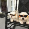 Ethel golden profil fotoğrafı