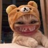 นอนนะ...แต่ช้าหน่อย's profile picture