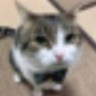 Mountain's profile picture