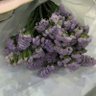 flower's profile picture