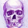 ๐๐๐ซ๐๐๐
๐โฏ ๐ฏ๐พ๐โฏ ๐๐'s profile picture
