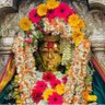 Фото профиля Smita Joshi