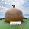 かぴさん(仮) 的头像