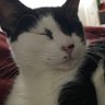 bichop's profile picture