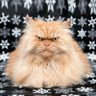 Григорий Киселев's profile picture