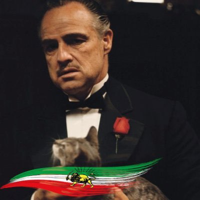 The Godfather 🇮🇷🦁👑🌞🇮🇷's profile picture