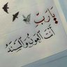 majed's profile picture