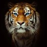expliquei melhor !'s profile picture