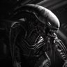 Фото профиля LostralianTrades