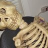 BBOSS profil fotoğrafı
