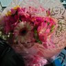 花（身体弱い人、今だけぬりえ🥹） 的头像