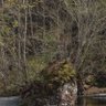 名前無梨 profil fotoğrafı