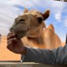 Фото профиля أستغفر الله