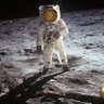 btcsentiment profil fotoğrafı