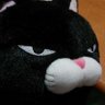 令和のにゃんこ様(*´ω｀*) 的头像